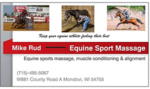 Mike Rud Equine Sport Massage